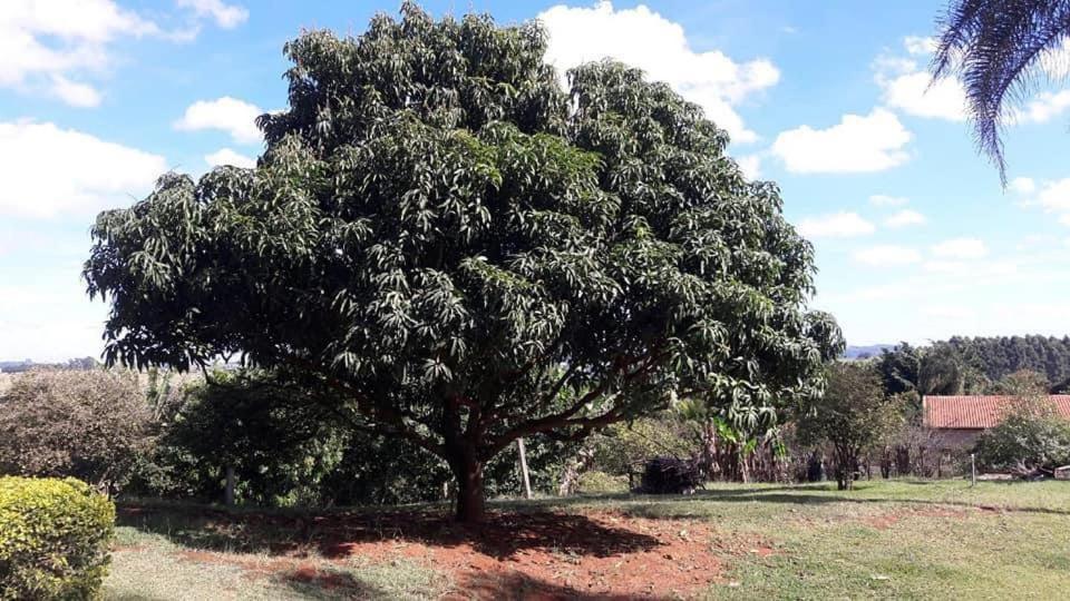 Вілла Sitio Em Atibaia - Sitio Beija-Flor Екстер'єр фото